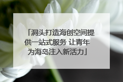 洞头打造海创空间提供一站式服务 让青年为海岛注入新活力
