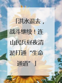 洪水退去，战斗继续！连山民兵昼夜清淤打通“生命通道”
