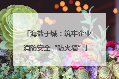 海盐于城：筑牢企业消防安全“防火墙”