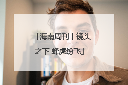 海南周刊丨镜头之下 蜂虎纷飞