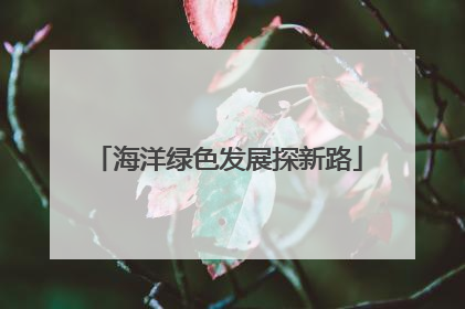 海洋绿色发展探新路