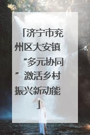 济宁市兖州区大安镇“多元协同”激活乡村振兴新动能