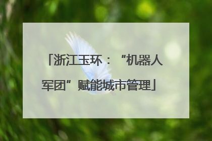 浙江玉环：“机器人军团”赋能城市管理