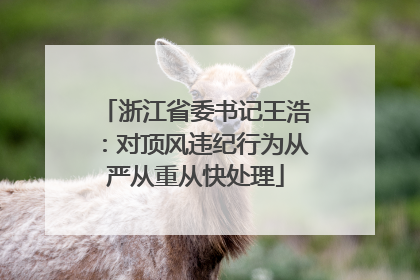 浙江省委书记王浩：对顶风违纪行为从严从重从快处理