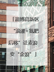 淄博高新区“滴灌+氮肥后移”让麦浪变“金浪”