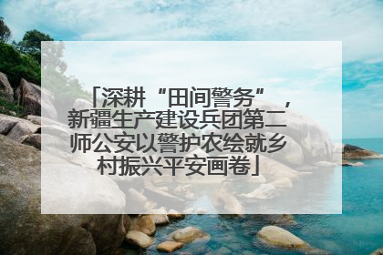深耕“田间警务”，新疆生产建设兵团第二师公安以警护农绘就乡村振兴平安画卷