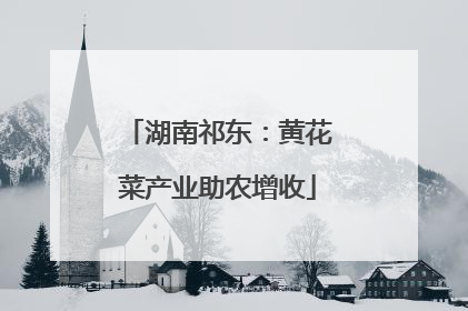 湖南祁东：黄花菜产业助农增收