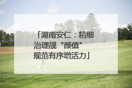 湖南安仁：精细治理靓“颜值” 规范有序增活力