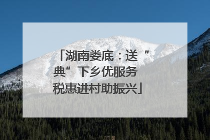 湖南娄底：送“典”下乡优服务 税惠进村助振兴
