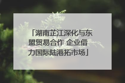 湖南芷江深化与东盟贸易合作 企业借力国际陆港拓市场