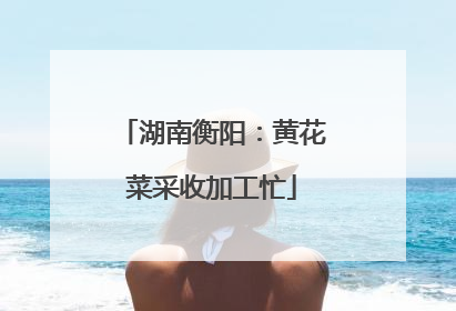 湖南衡阳：黄花菜采收加工忙
