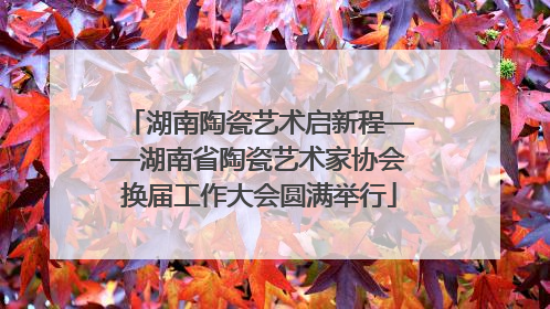 湖南陶瓷艺术启新程——湖南省陶瓷艺术家协会换届工作大会圆满举行