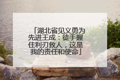 湖北省见义勇为先进王成：徒手握住利刃救人，这是我的责任和使命