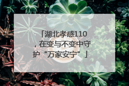 湖北孝感110，在变与不变中守护“万家安宁”