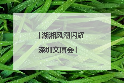 湖湘风潮闪耀深圳文博会