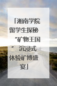 湘南学院留学生探秘“矿物王国” 沉浸式体验矿博盛宴