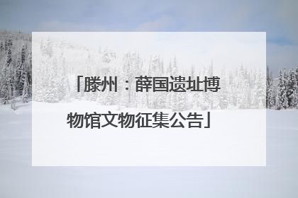 滕州：薛国遗址博物馆文物征集公告