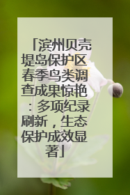 滨州贝壳堤岛保护区春季鸟类调查成果惊艳：多项纪录刷新，生态保护成效显著