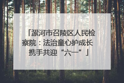 漯河市召陵区人民检察院：法治童心护成长 携手共迎“六一”