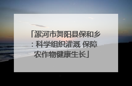 漯河市舞阳县保和乡：科学组织灌溉 保障农作物健康生长