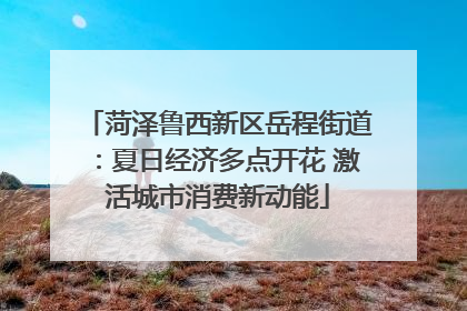 菏泽鲁西新区岳程街道：夏日经济多点开花 激活城市消费新动能