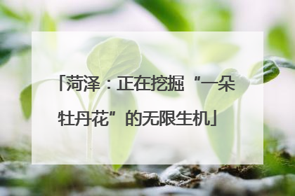 菏泽：正在挖掘“一朵牡丹花”的无限生机