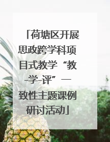 荷塘区开展思政跨学科项目式教学“教-学-评”一致性主题课例研讨活动