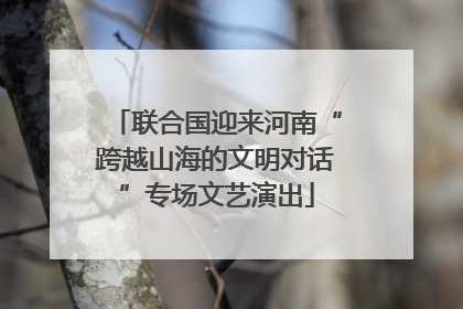 联合国迎来河南“跨越山海的文明对话”专场文艺演出