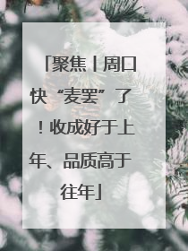 聚焦丨周口快“麦罢”了！收成好于上年、品质高于往年