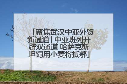 聚焦武汉中亚外贸新通道│中亚班列开辟双通道 哈萨克斯坦饲用小麦将抵鄂
