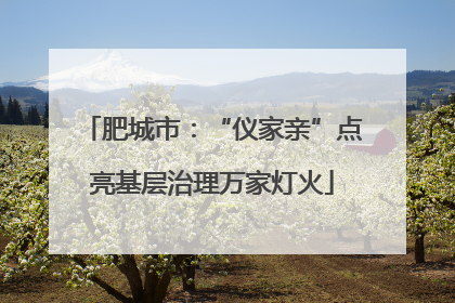 肥城市：“仪家亲”点亮基层治理万家灯火