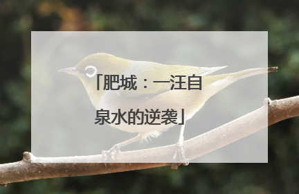 肥城：一汪自泉水的逆袭