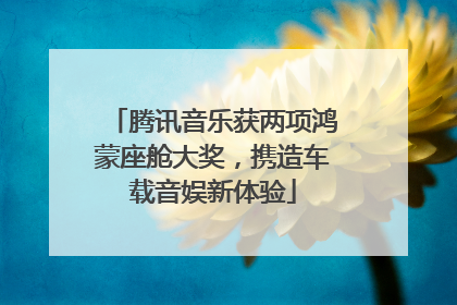 腾讯音乐获两项鸿蒙座舱大奖，携造车载音娱新体验