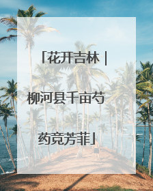 花开吉林｜柳河县千亩芍药竞芳菲