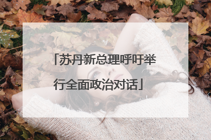 苏丹新总理呼吁举行全面政治对话