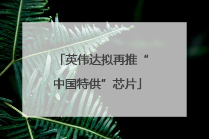 英伟达拟再推“中国特供”芯片