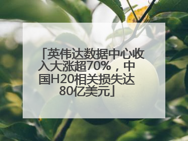 英伟达数据中心收入大涨超70%，中国H20相关损失达80亿美元