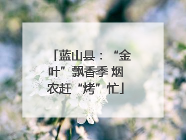 蓝山县：“金叶”飘香季 烟农赶“烤”忙