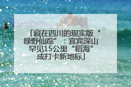 藏在四川的现实版“绿野仙踪”：宜宾深山罕见15公里“稻海”成打卡新地标