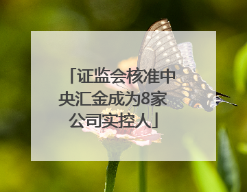 证监会核准中央汇金成为8家公司实控人