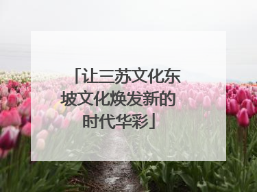 让三苏文化东坡文化焕发新的时代华彩