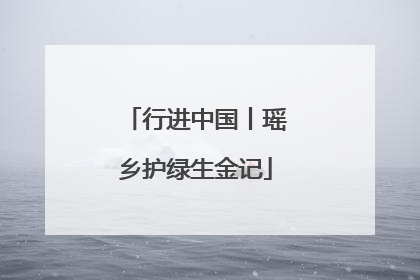 行进中国丨瑶乡护绿生金记