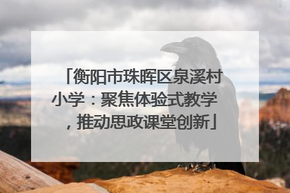 衡阳市珠晖区泉溪村小学：聚焦体验式教学，推动思政课堂创新