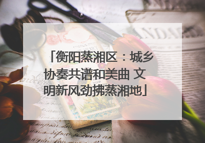 衡阳蒸湘区：城乡协奏共谱和美曲 文明新风劲拂蒸湘地