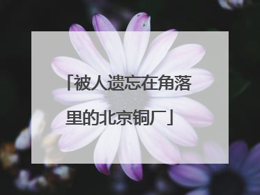 被人遗忘在角落里的北京铜厂