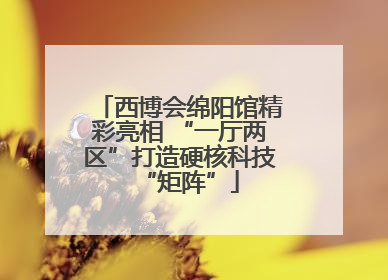 西博会绵阳馆精彩亮相 “一厅两区”打造硬核科技“矩阵”