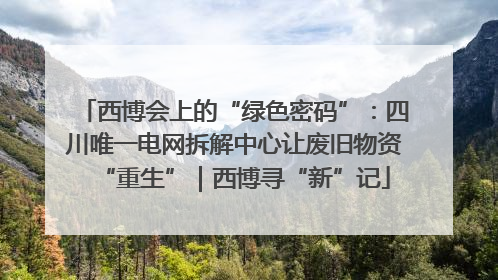 西博会上的“绿色密码”：四川唯一电网拆解中心让废旧物资“重生”｜西博寻“新”记