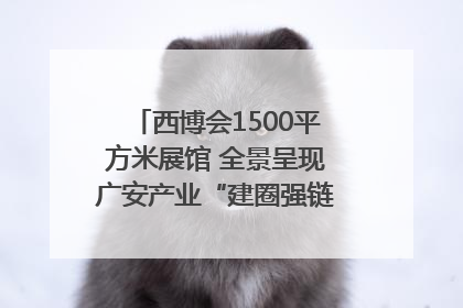 西博会1500平方米展馆 全景呈现广安产业“建圈强链”｜西博视界
