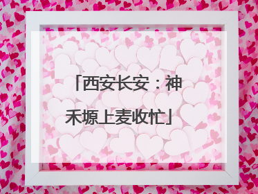 西安长安：神禾塬上麦收忙