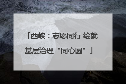 西峡：志愿同行 绘就基层治理“同心圆”